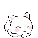 Animated yawning cat Discord emoji